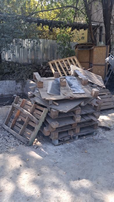 Ветки палаты на дрова