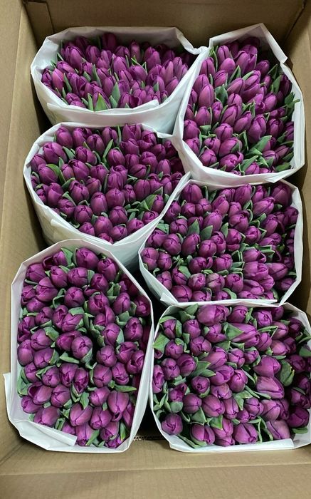 Тюльпаны, готовые букеты из тюльпанов!!!