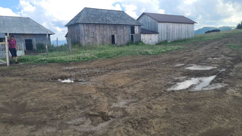 Vand teren 47.8 HA intravilan + extravilan Moisei/Viseu