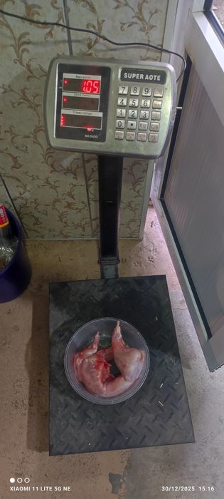 Quyon goʻshti yangi soyib beramiz