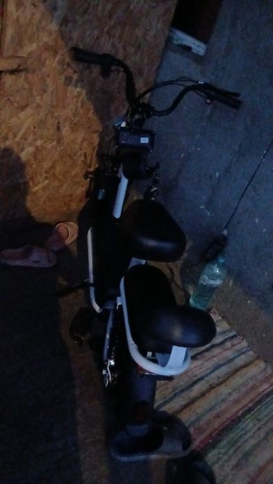 Scuter schimb pe porc oi etc