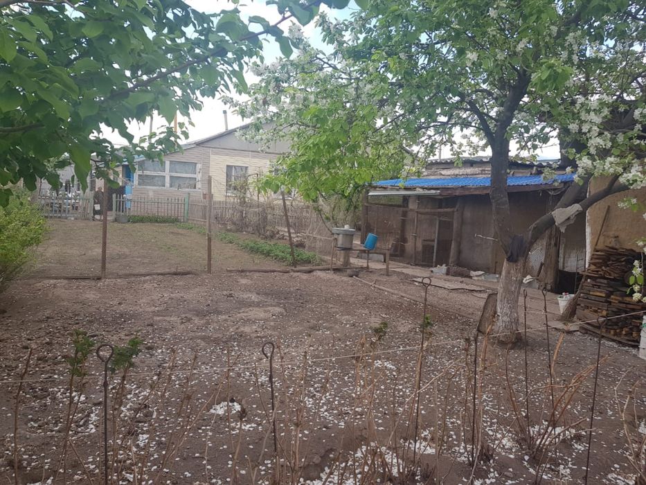 Зайсан. Продам дом.Срочно