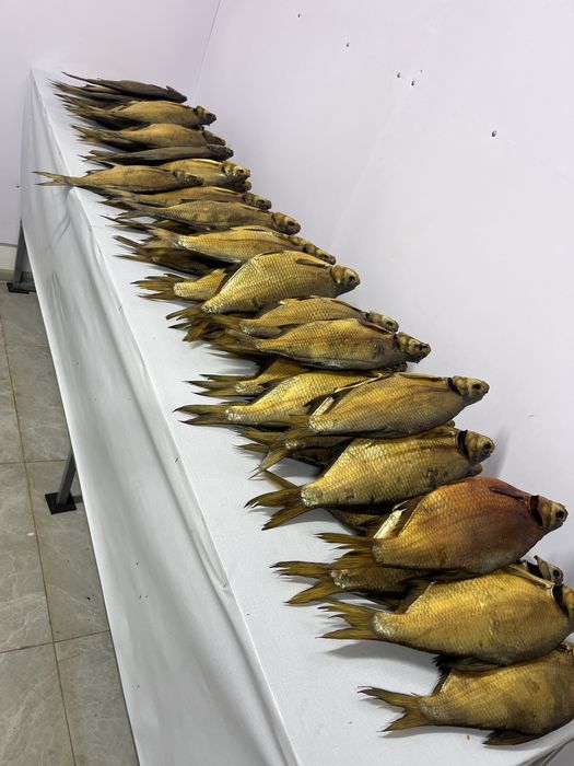 Рыба хк гк вялка