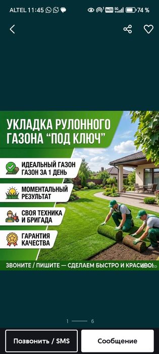 Газоны жонсин Виши