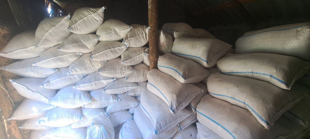 Rumeguș de fag si carpen