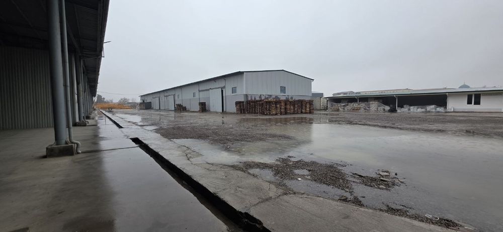 Срочно продается база новый международный аэропорт!