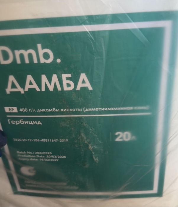 Амплиго Дамба продам