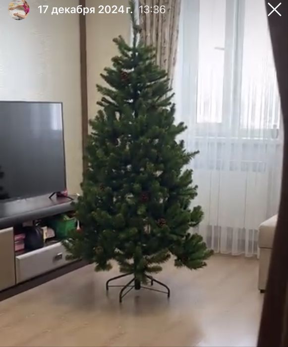 Продам елку для нового года