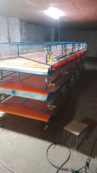 Инкубаторға, брудера, клетки.