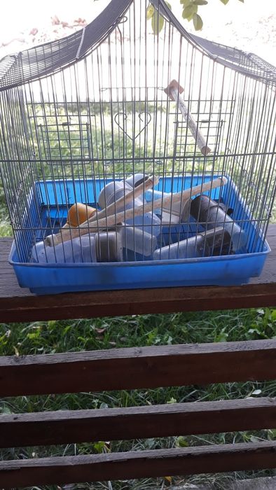 Colivie de păsărele