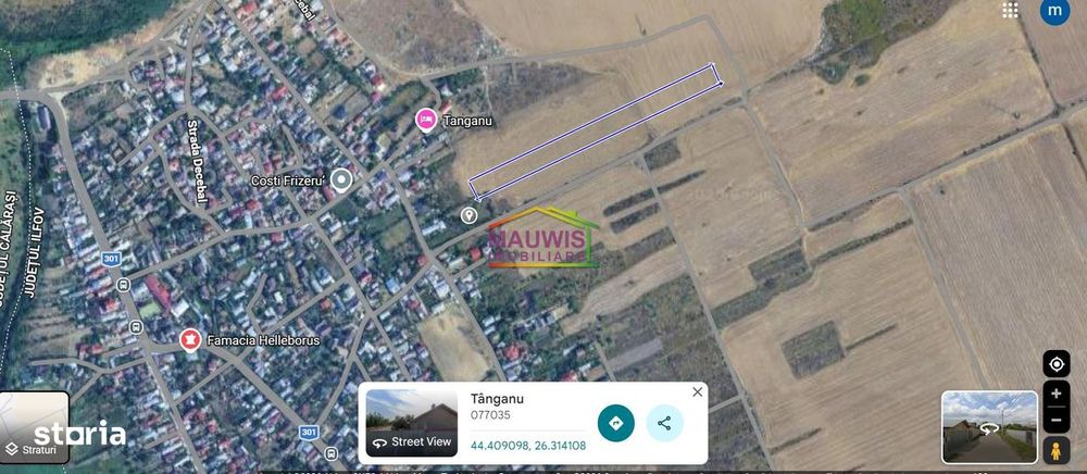 Vand teren intravilan in sat Tanganu, Cernica - Nicolade Balcescu.