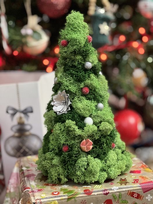 Braduti cu licheni stabilizati