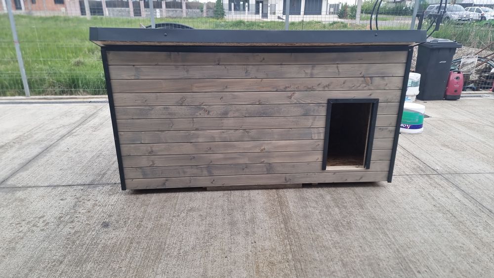 Vand cusca pentru caini