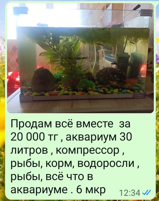 Аквариум с рыбками