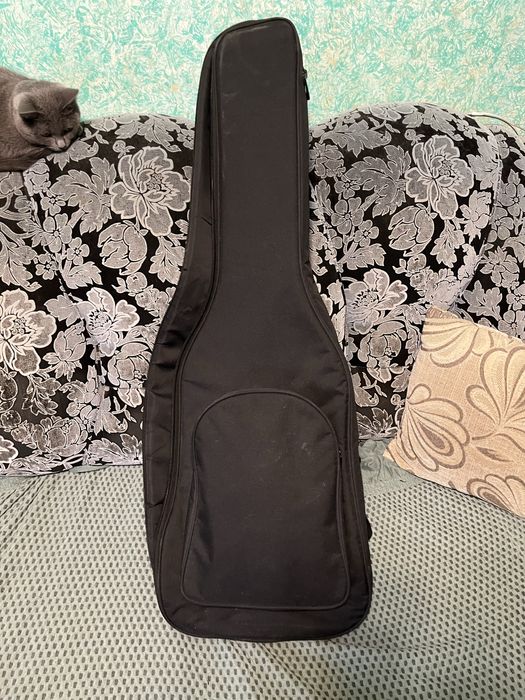 Гитара Ibanez RG 270 с чехлом