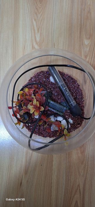 Acvarii gen bol, 5-6litri, cu toate accesoriile pt pești beta