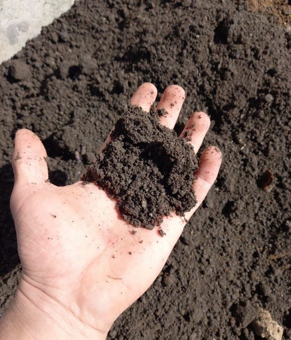 Продаю Перегной,  Навоз,  Чернозём.