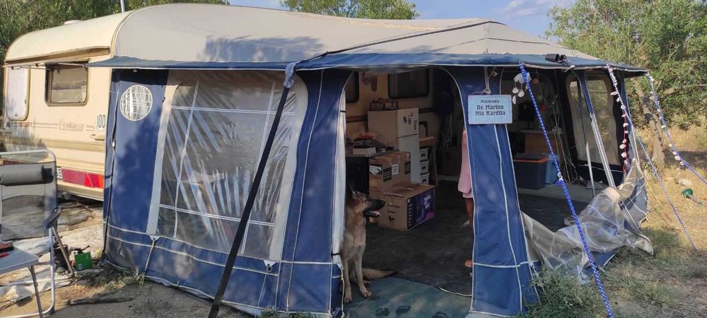 Форселт Изабела пента голд размер 1025