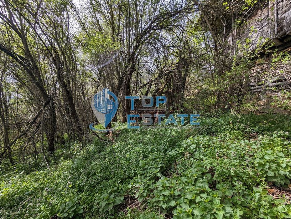 Продава се Парцел в Елена - 1000 кв.м за 12 €/кв.м - Снимка #4