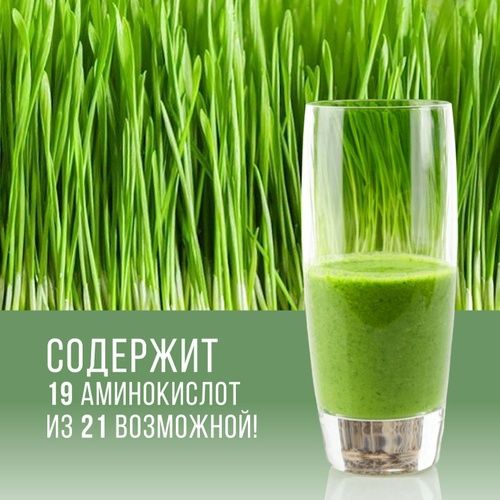 Витграсс/ростки пшеницы