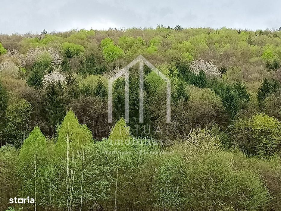Teren intravilan de vanzare in Tocile, 3862 mp, priveliste spre padure