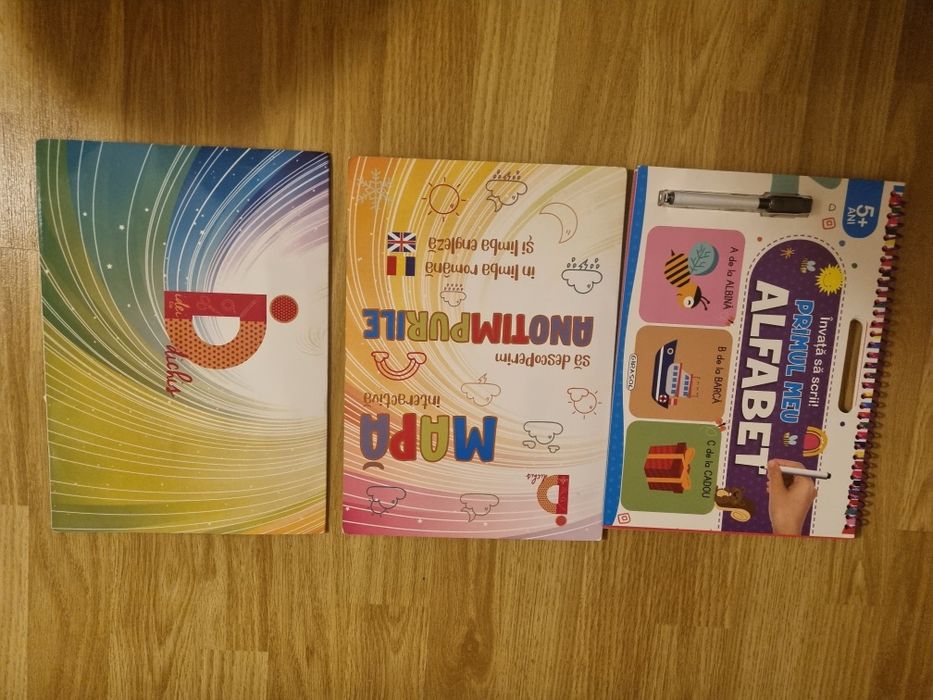 Caiete activitati- Idei cu dichis