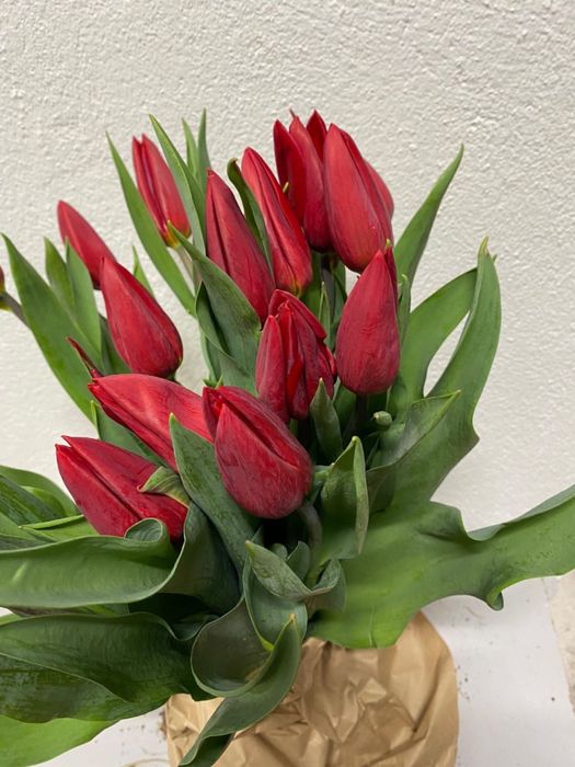 Тюльпаны с оформлением