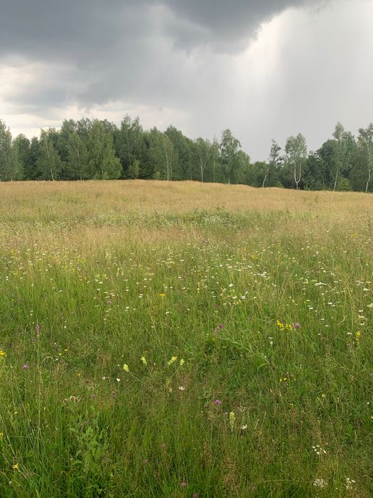Vânzare teren intravilan 9200 mp