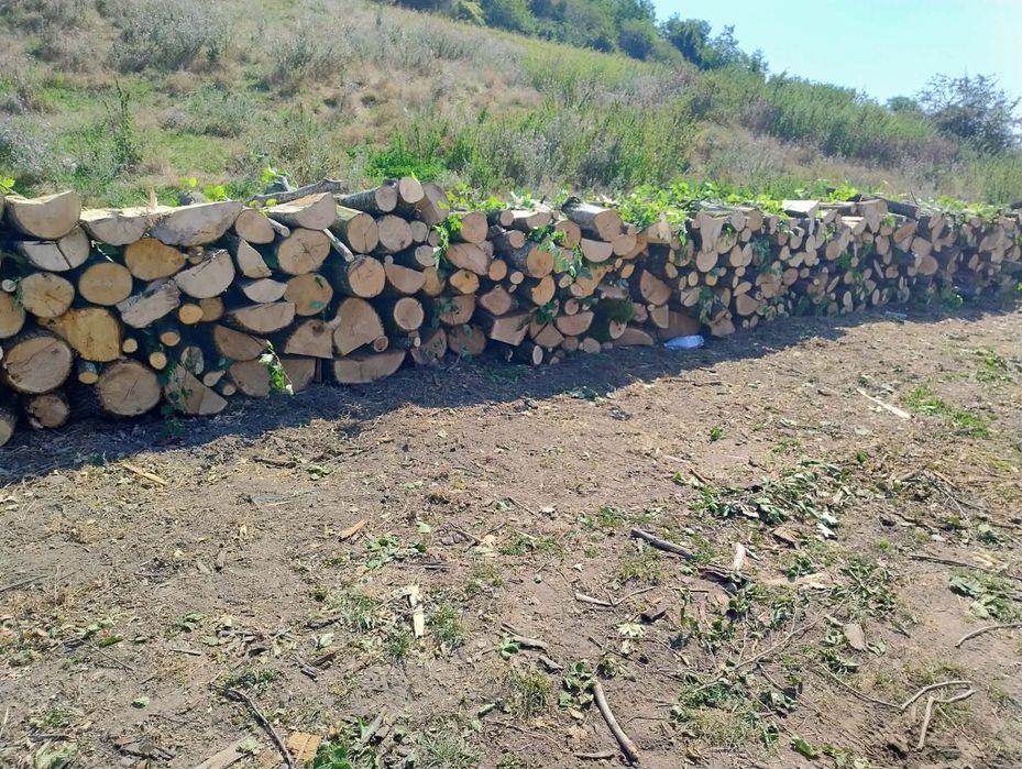 Vand lemne de foc esenta tare