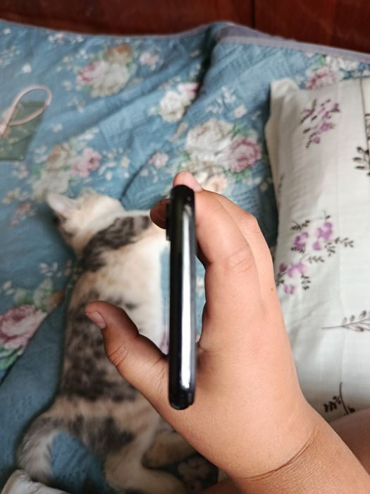 Iphone X идеал сос