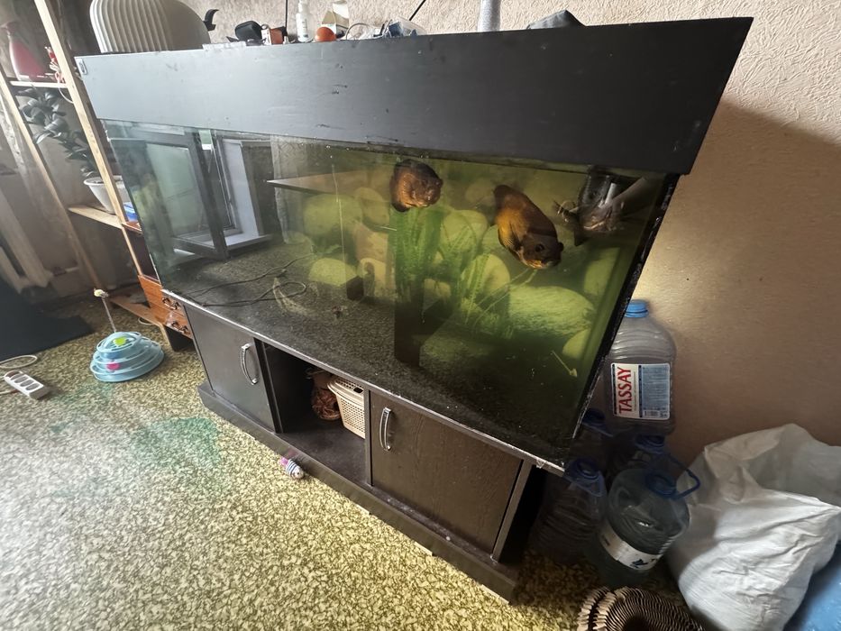 Продам аквариум 250 л