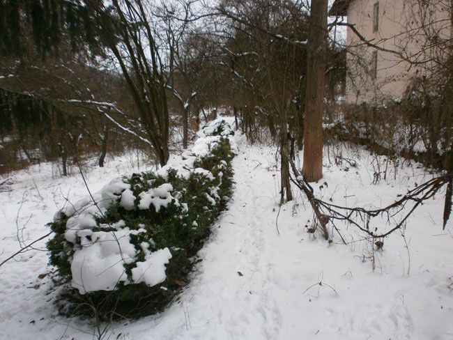 Продава се Къща в с. Владо Тричков, Област София-област - 60 кв.м за 510 €/кв.м - Снимка #10