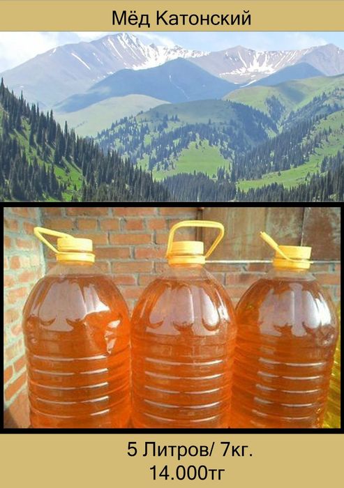 Продам мёд! 2026