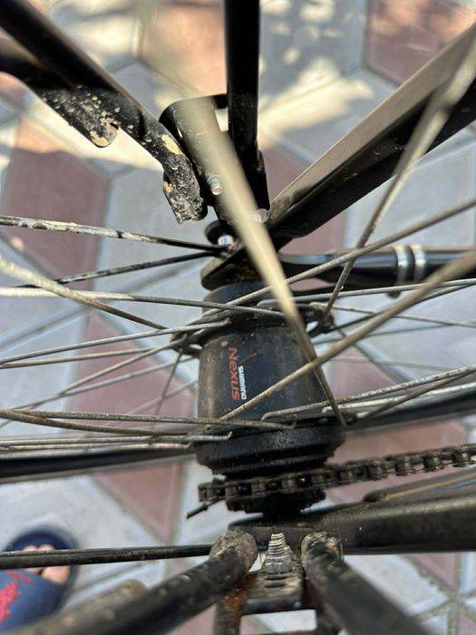 Bicicletă electrică Prophete Geniesser EMC 3300, 28"
