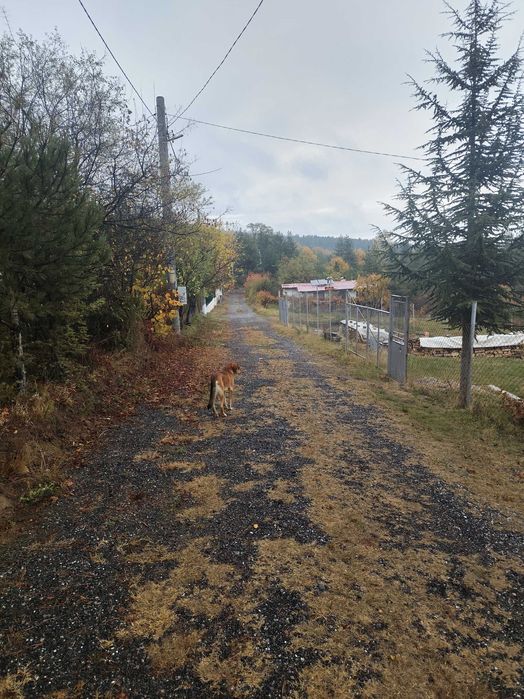 Продава се Парцел в с. Венковец, Област София-област - 966 кв.м за 54 €/кв.м - Снимка #4