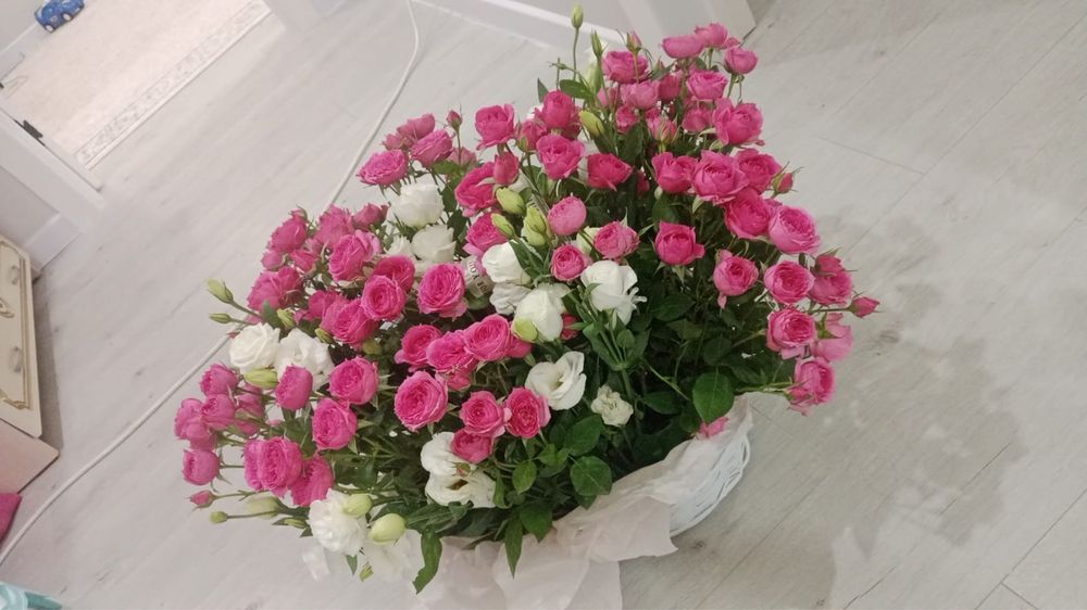 Продам цветы свежие