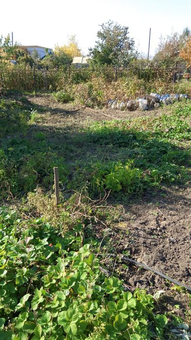 Продам дачу ООСЛ притобольский