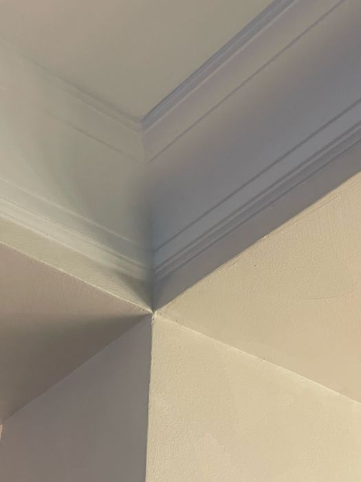 Constructii civile & industriale + finisaje premium