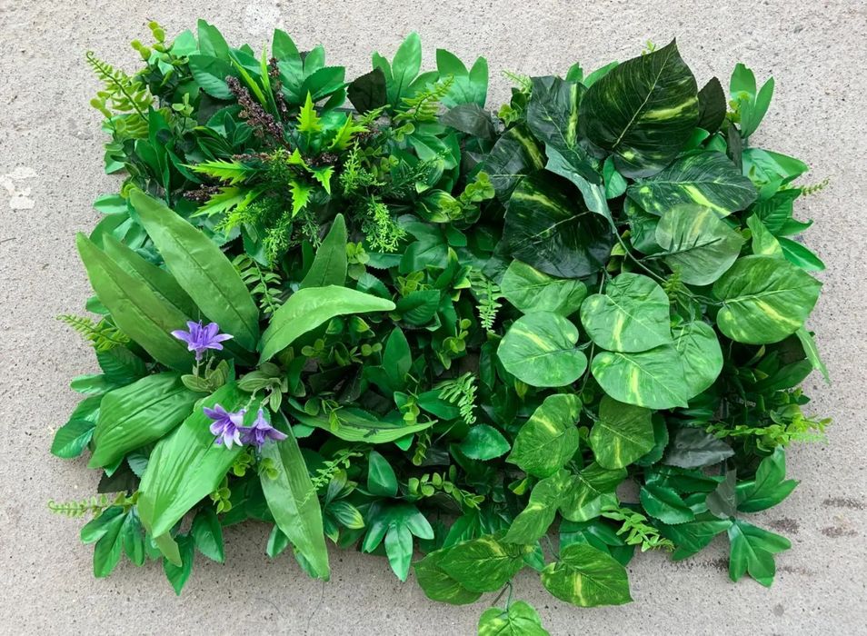 Зелень, фитостены, цветы