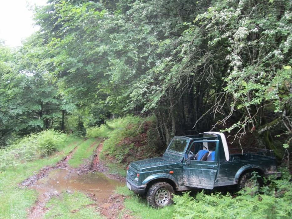 Suzuki Samurai  Pick-up Diesel Renault