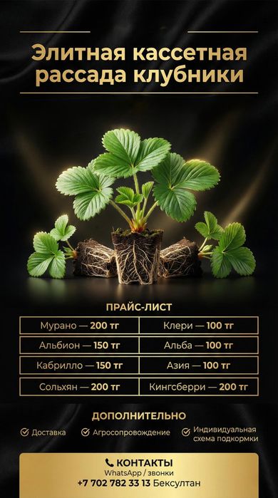 Рассада  клубники. Малины Продам