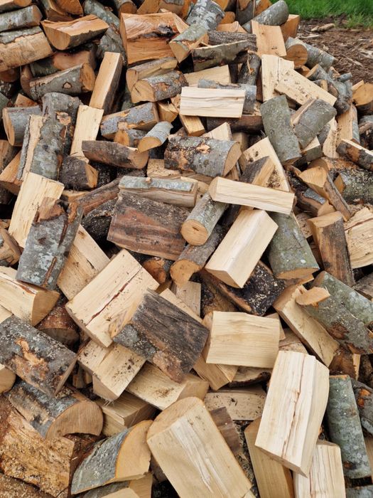 Lemne de foc de fag .