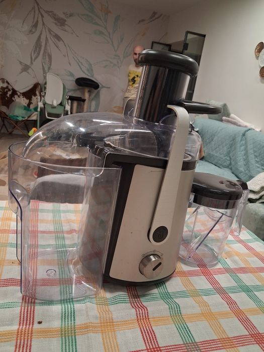 Storcator de fructe si legume Tefal Easy Fruit ZE585H38, 700 W, Negru/