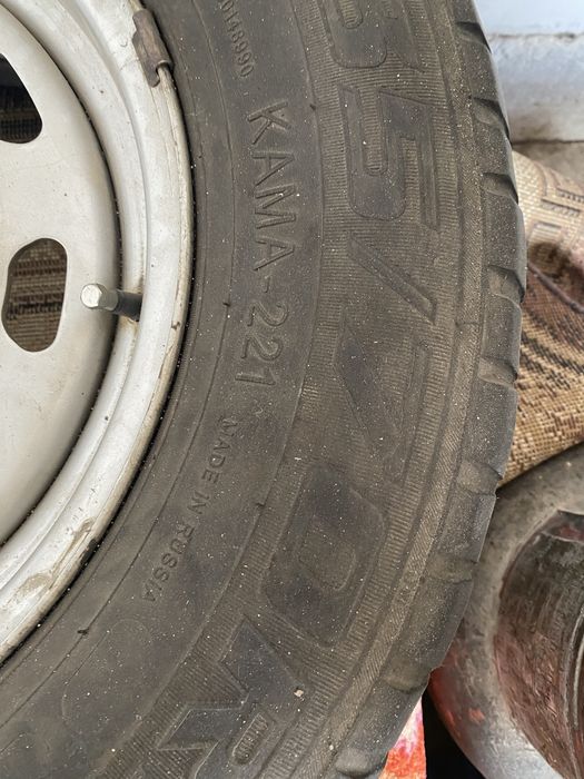 Собольт 16 летний донгелек сатылады