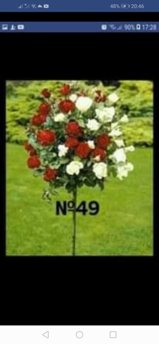 За всеки по нещо