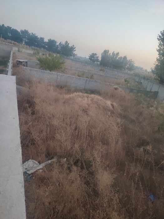 Uch qaxramon postdan 5-6 km kirganda yer sotiladi