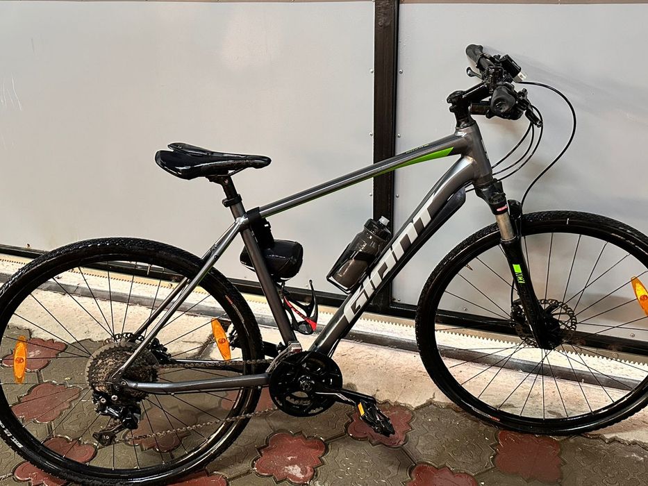 Giant roam L1.   .
