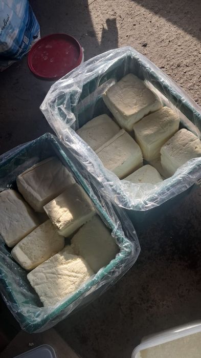 Brânză proaspata Caș puțin Sărat Telemea proaspata