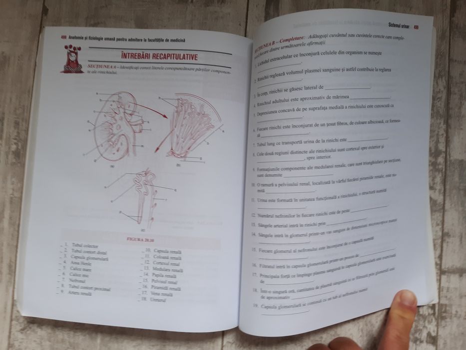 BARRON'S  Anatomie și Fiziologie Umană