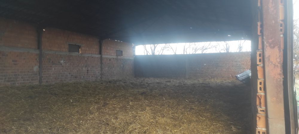 Стопанство   за животни под наем